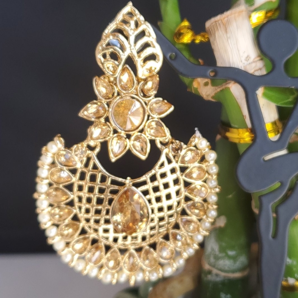 Fancy Earring - Picture 2 of 3